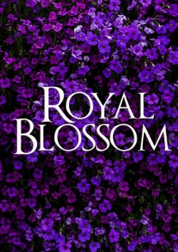Royal Blossom Royal Blossom