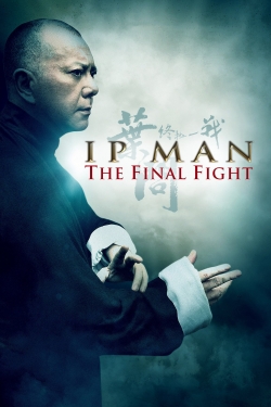Ip Man: The Final Fight Ip Man: The Final Fight