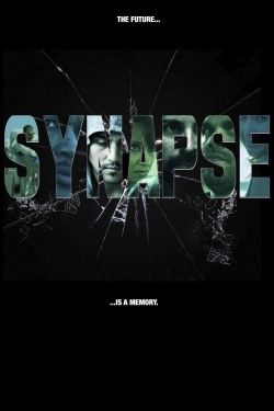Synapse Synapse