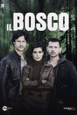 O Bosque Escuro O Bosque Escuro