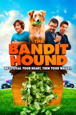 The Bandit Hound The Bandit Hound