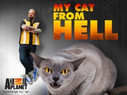 My Cat from Hell My Cat from Hell
