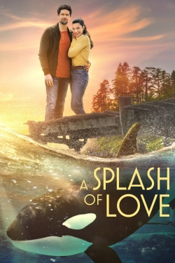 A Splash of Love A Splash of Love