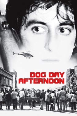 Dog Day Afternoon Dog Day Afternoon