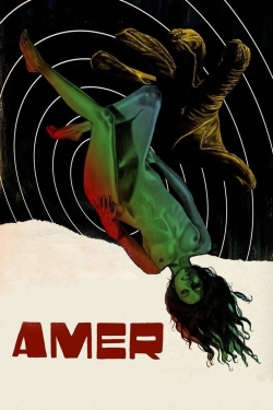 Amer Amer