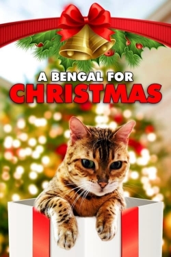 A Bengal for Christmas A Bengal for Christmas