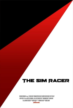 The Sim Racer The Sim Racer