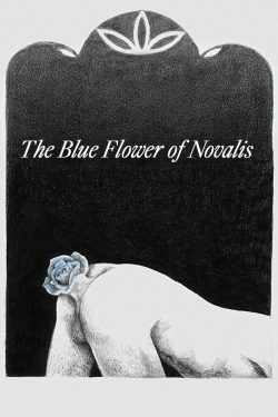 The Blue Flower of Novalis The Blue Flower of Novalis