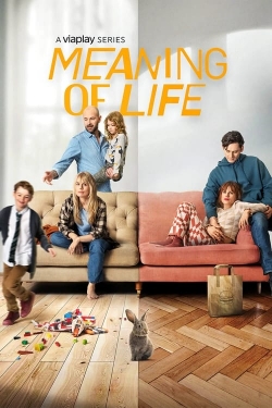 Meaning of Life Meaning of Life