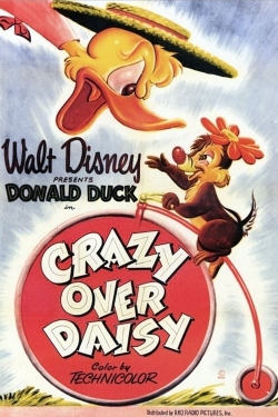Crazy Over Daisy Crazy Over Daisy