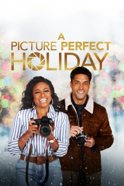 A Picture Perfect Holiday A Picture Perfect Holiday
