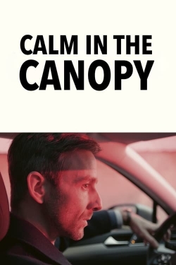 Calm in the Canopy Calm in the Canopy