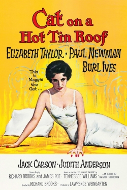 Cat on a Hot Tin Roof Cat on a Hot Tin Roof