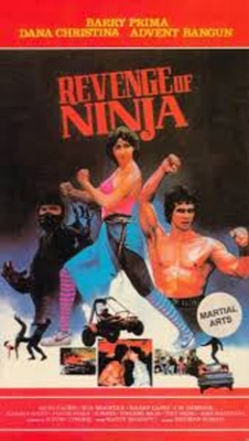 Revenge of the Ninja Revenge of the Ninja