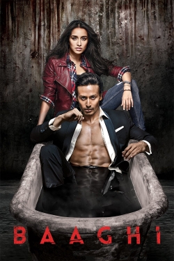 Baaghi Baaghi