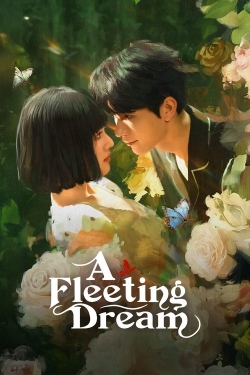 A Fleeting Dream A Fleeting Dream