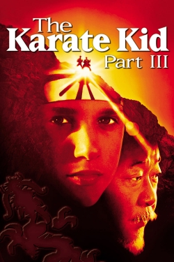 The Karate Kid Part III The Karate Kid Part III