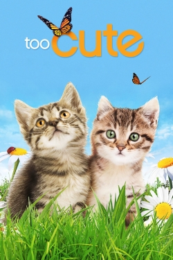 Too Cute Too Cute