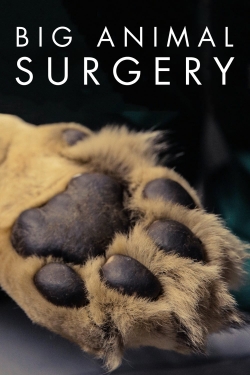 Big Animal Surgery Big Animal Surgery