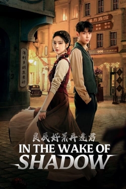 In the Wake of Shadow In the Wake of Shadow