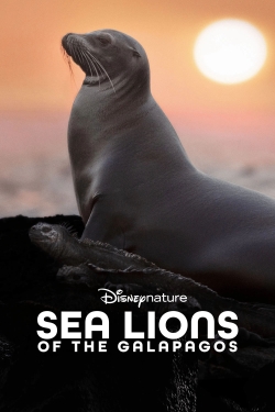 Sea Lions of the Galapagos Sea Lions of the Galapagos