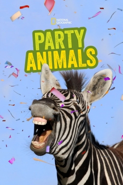 Party Animals Party Animals