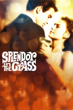 Splendor in the Grass Splendor in the Grass