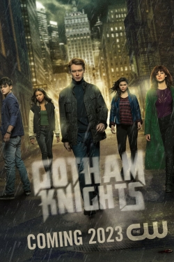 Gotham Knights Gotham Knights