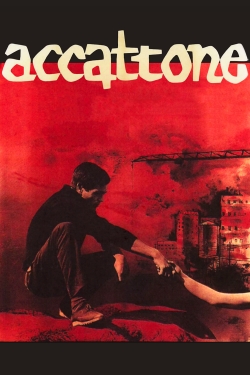 Accattone Accattone