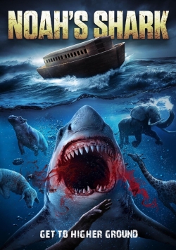 Noah’s Shark Noah’s Shark