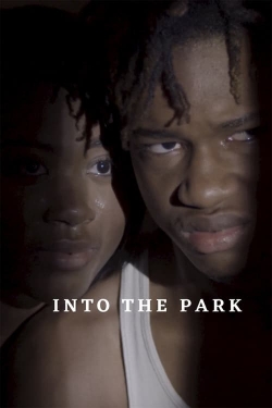 Into the Park Into the Park