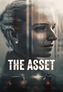 The Asset The Asset