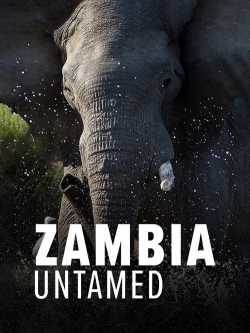 Zambia Untamed Zambia Untamed