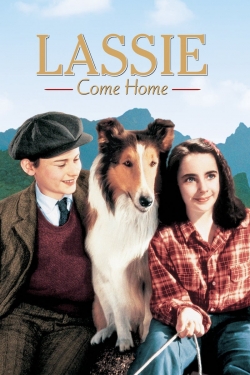 Lassie Come Home Lassie Come Home
