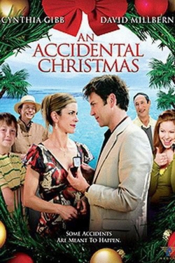An Accidental Christmas An Accidental Christmas