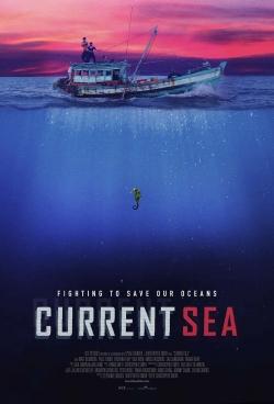 Current Sea Current Sea