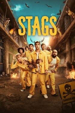 Stags Stags