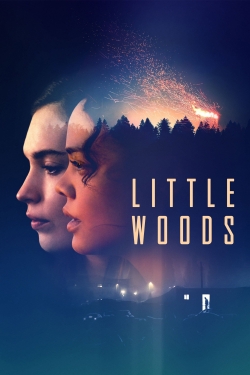 Little Woods Little Woods