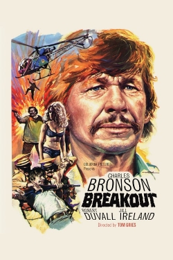 Breakout Breakout