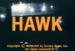 Hawk Hawk