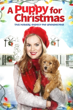 A Puppy for Christmas A Puppy for Christmas