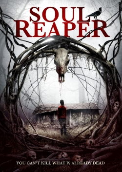 Soul Reaper Soul Reaper