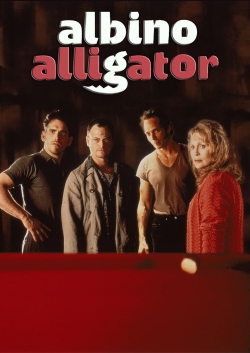 Albino Alligator Albino Alligator