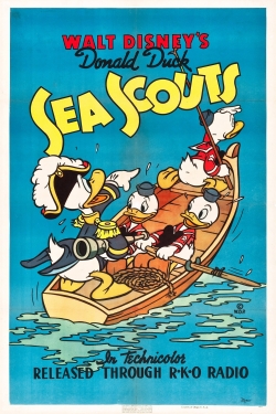 Sea Scouts Sea Scouts