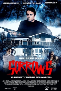 House of Many Sorrows House of Many Sorrows