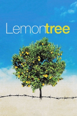 Lemon Tree Lemon Tree