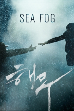 Sea Fog Sea Fog