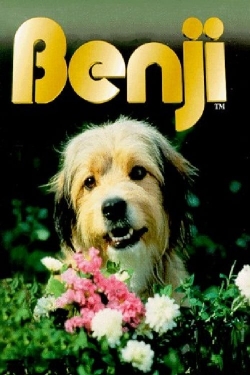 Benji Benji