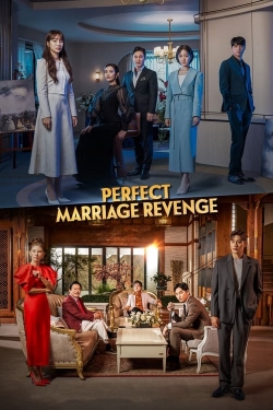 Perfect Marriage Revenge Perfect Marriage Revenge