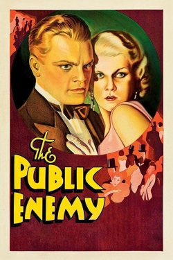 The Public Enemy The Public Enemy